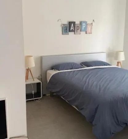 Апартаменты Joli De Standing Meuble Avec Balcon Plein Centre Ville Ла-Рошель